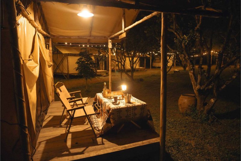 Dine Under the Stars: Desert Dinner Experience with Sandtrail Tours