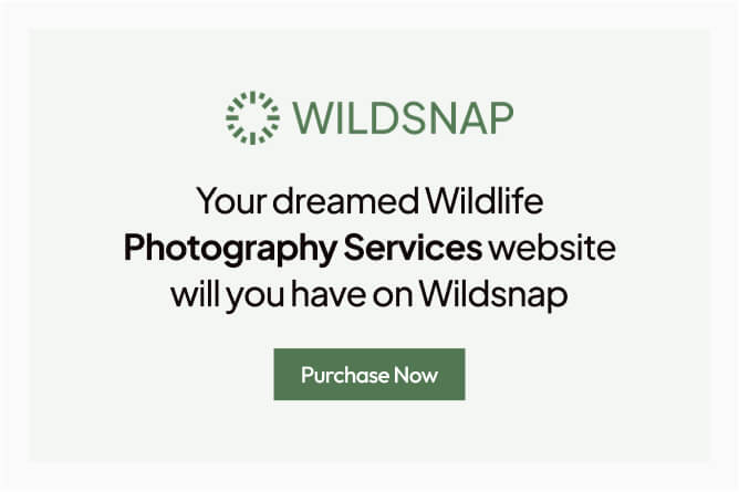 Wildsnap - Wildlife Photography Services Elementor Template Kit