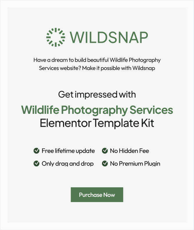 Wildsnap - Wildlife Photography Services Elementor Template Kit